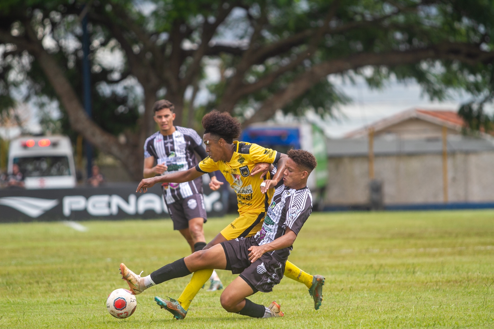 Copinha: Comercial vence e volta a brigar pela vaga