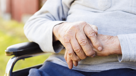 Imagem Site - 2023-01-24T100508.254