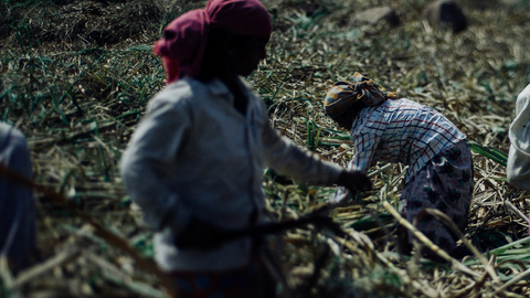 Justiça ordena que INSS reestabeleça aposentadoria rural de segurada
