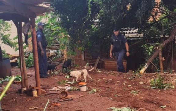 Vídeo | Ação de reintegração de posse da prefeitura deixa idoso sem lar e animais abandonados