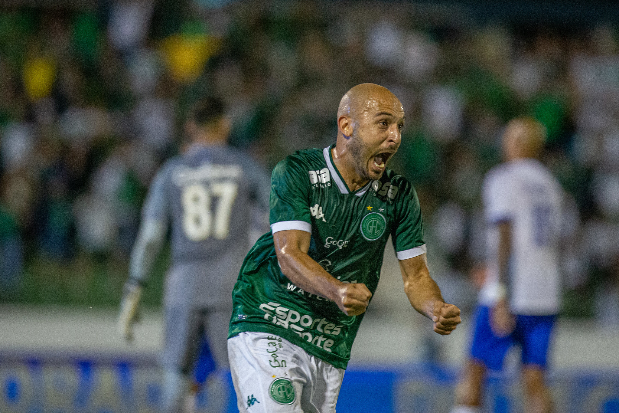 Thomaz Marostergan - Guarani Press