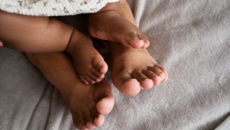 Datas Comemorativas de Maio; confira