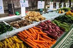 Foto: REYNALDO GRACA LOPES/SHUTTERSTOCK