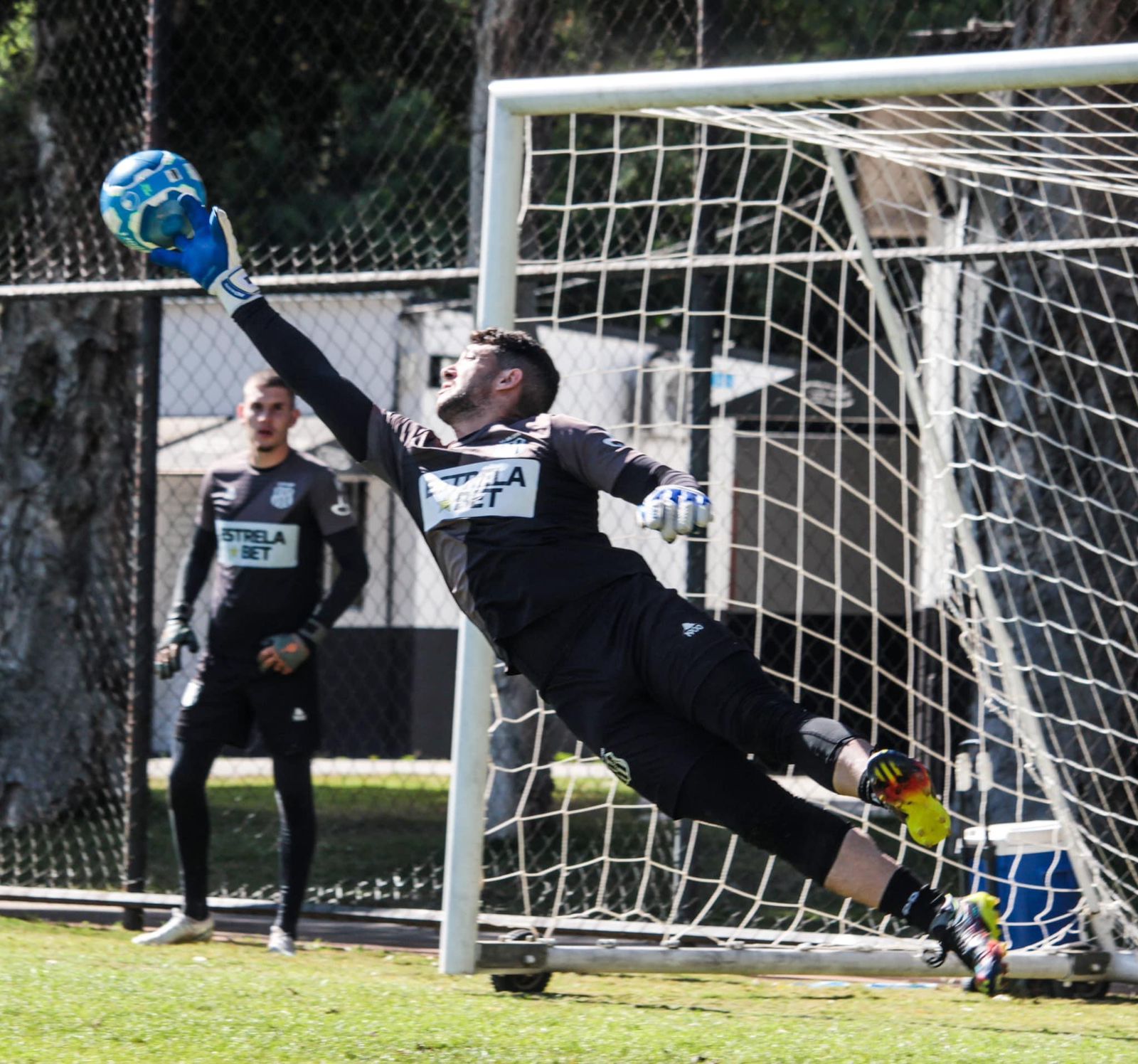 Ponte Preta recebe o “invicto” Vila Nova neste domingo no Majestoso