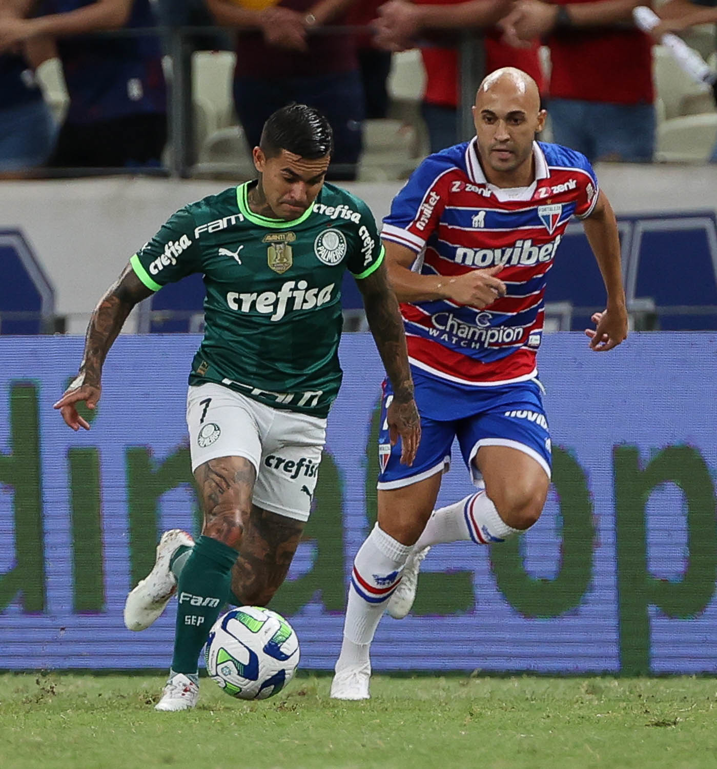 Palmeiras