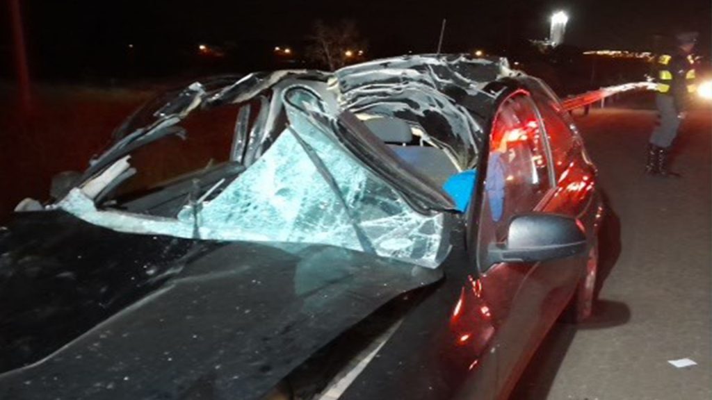 Jovem de 16 anos morre após atropelamento de vaca na região