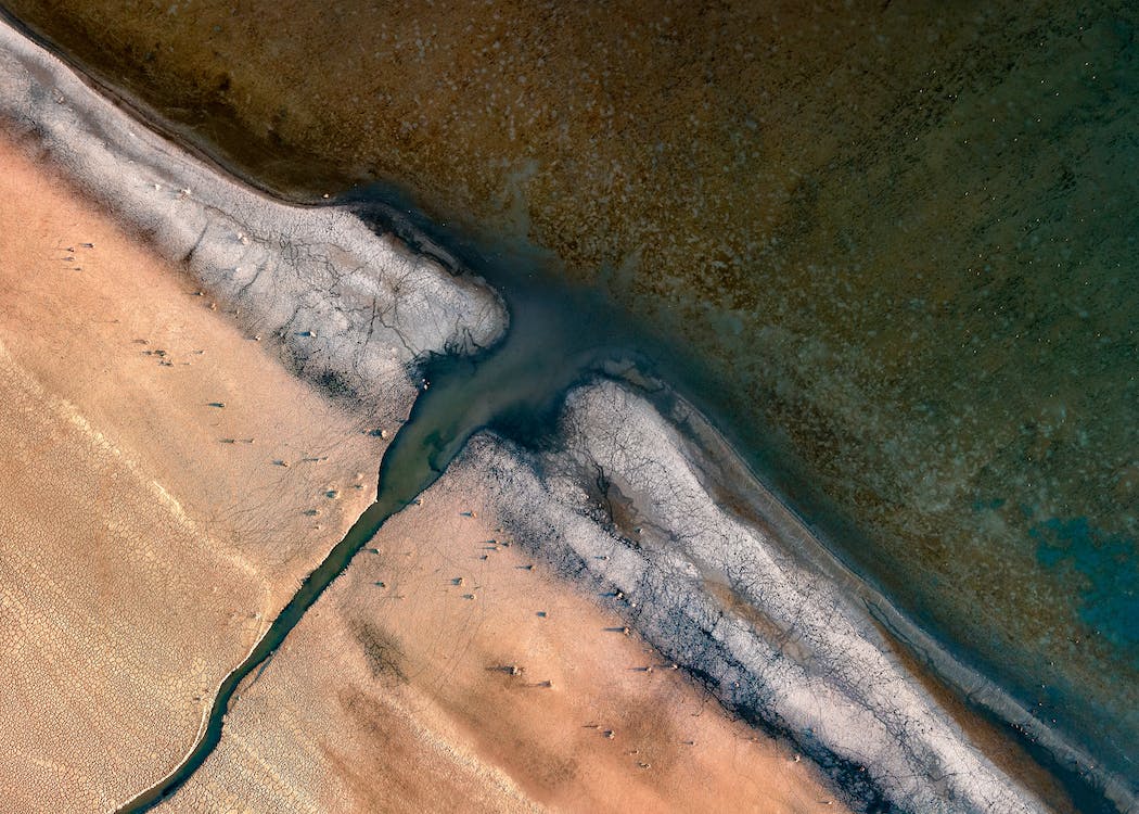 Imagem foz do Amazonas (Foto Reprodução)