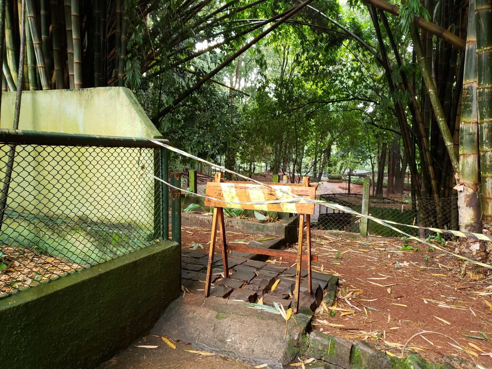 Marcos-Papa-Bosque-representacao-Gaema031-1600x1200