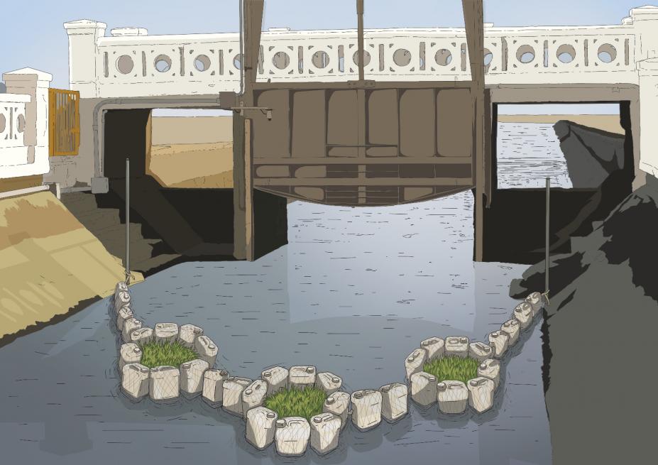 Plantas aquáticas serão usadas como barreiras nos canais de Santos