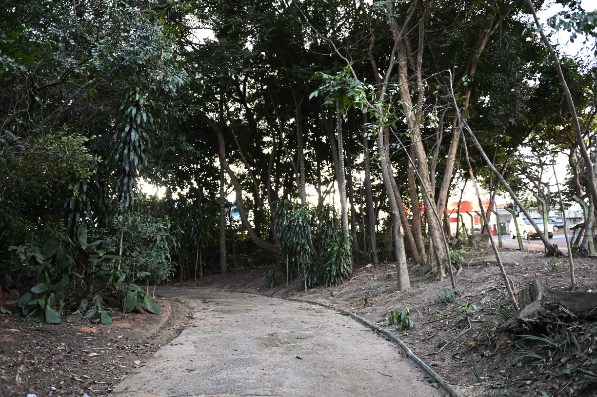 Prefeitura reabre Bosque do DIC 1, distrito do Ouro Verde, neste sábado