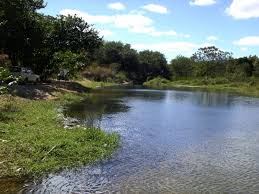 Juiz do STJ concedeu liminar que favorece rancheiros à beira do Rio Pardo