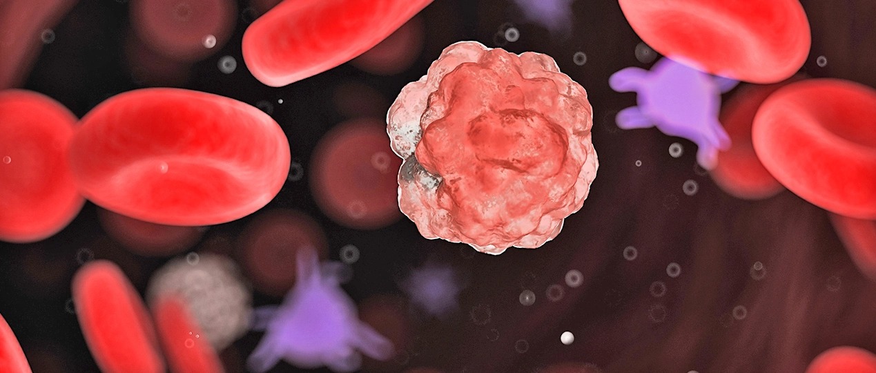 WhatsApp Image 2023-06-09 at 14.44.08