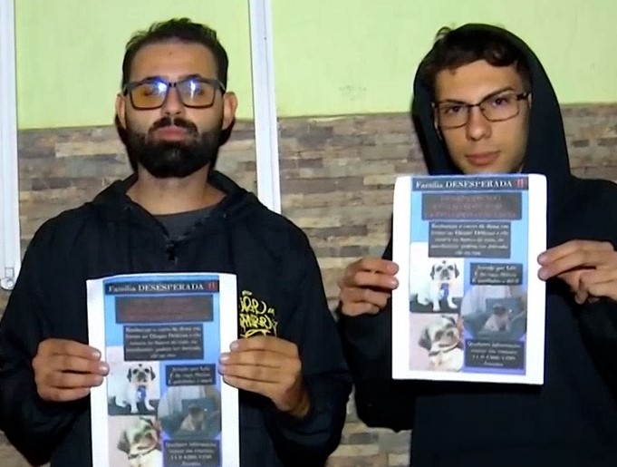 Cachorro é levado durante assalto de carro