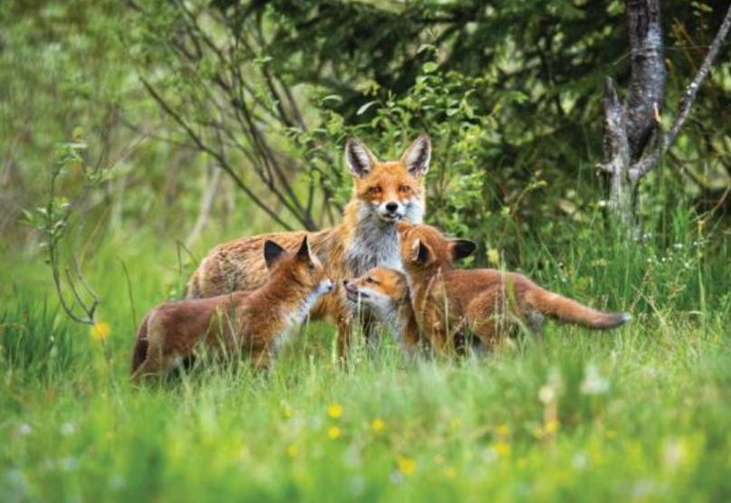 Exposição no MIS-Campinas revela belezas naturais de quatro países em fotografias premiadas