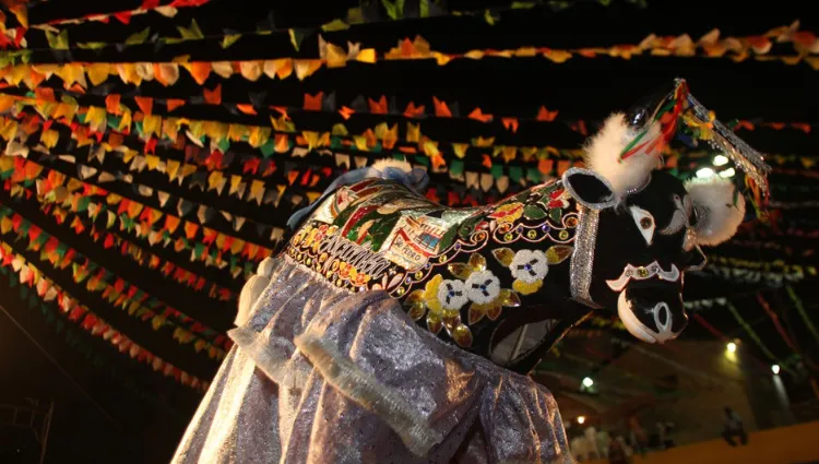 Norte: 10 principais características culturais da região