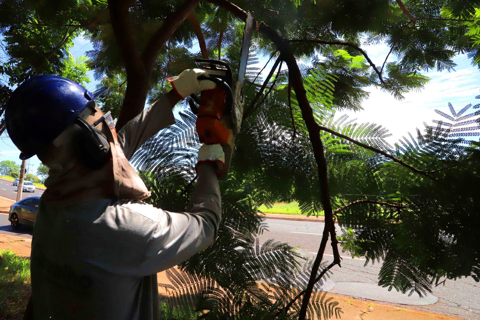 Curso de poda e roçada