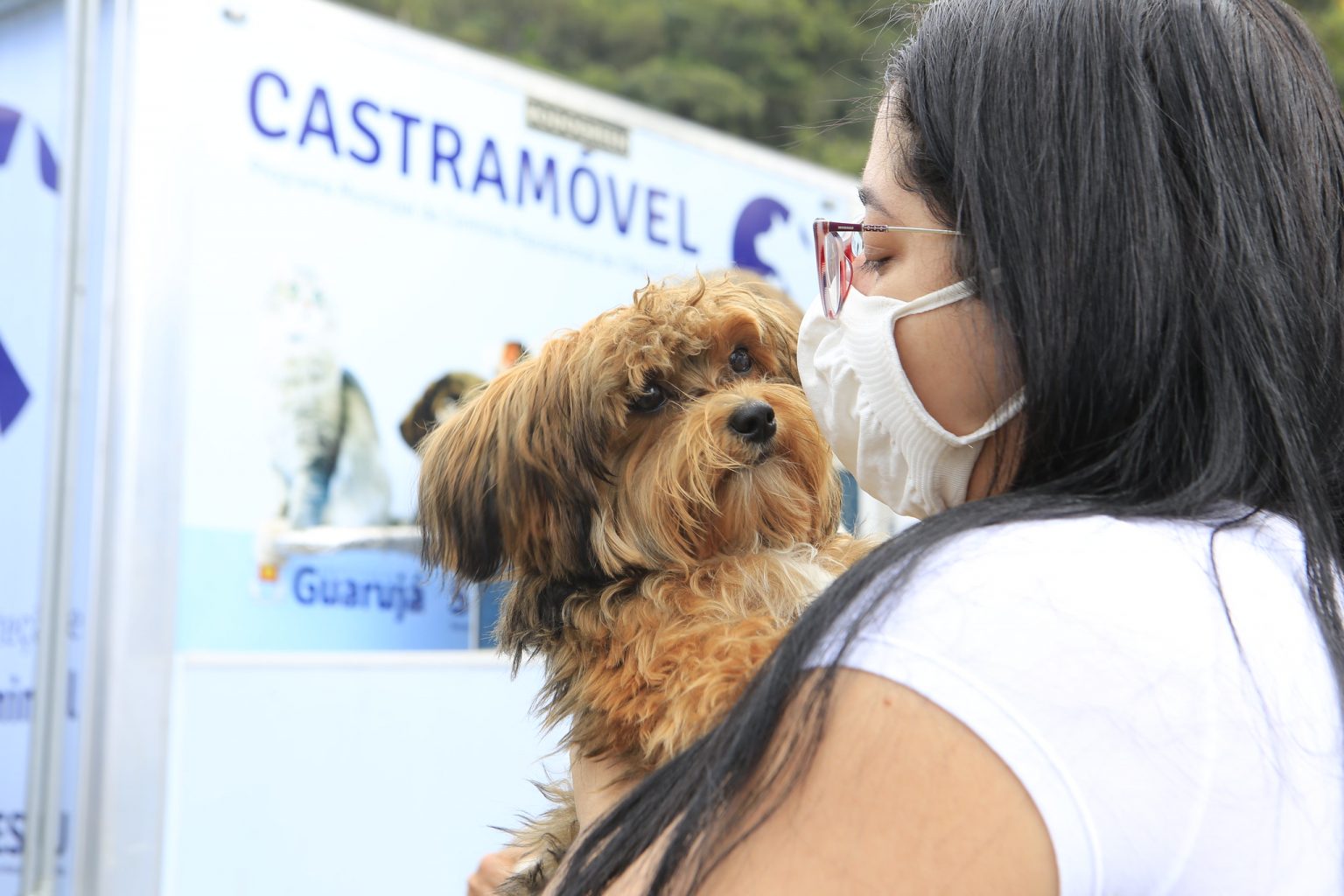 Guarujá realiza mutirão de cadastros para castração animal