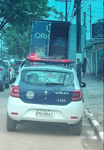 Caminhão roubado no Litoral é recuperado pela Guarda de Guarujá