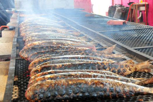 Festa da Tainha é destaque em Praia Grande