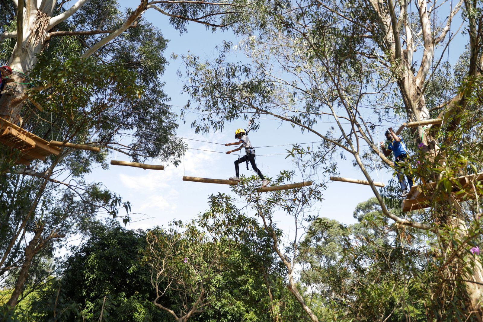 Louveira tem arvorismo gratuito na Fazenda Santo Antônio
