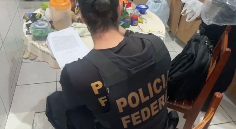 PF de Campinas deflagra nova fase da Operação Infância Protegida