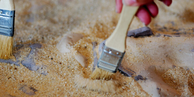 Sesc Campinas abre sítio arqueológico como programa de férias