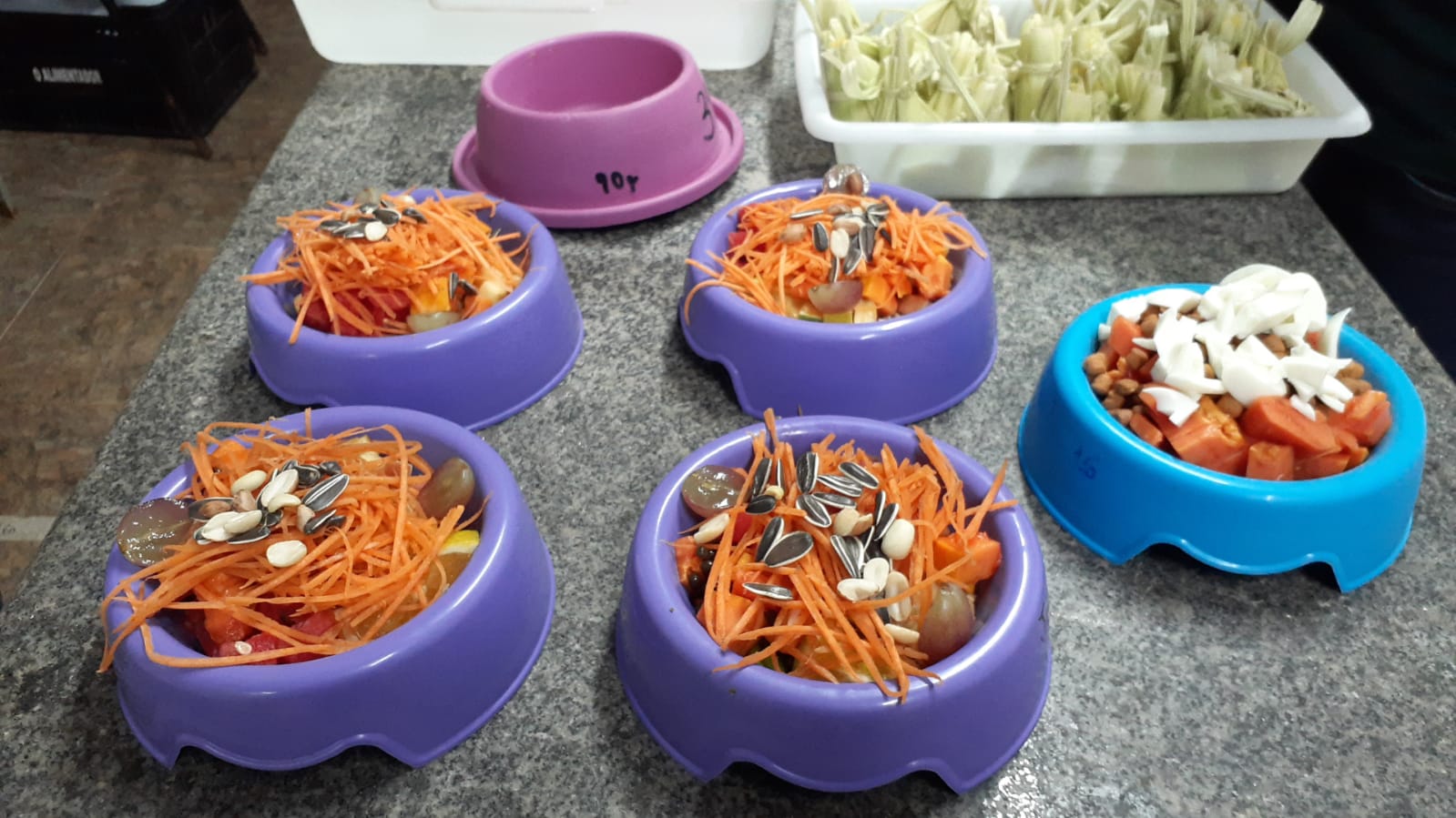 Tem Arraía no Zoo, bicharada tem pamonha e até bolo de fubá