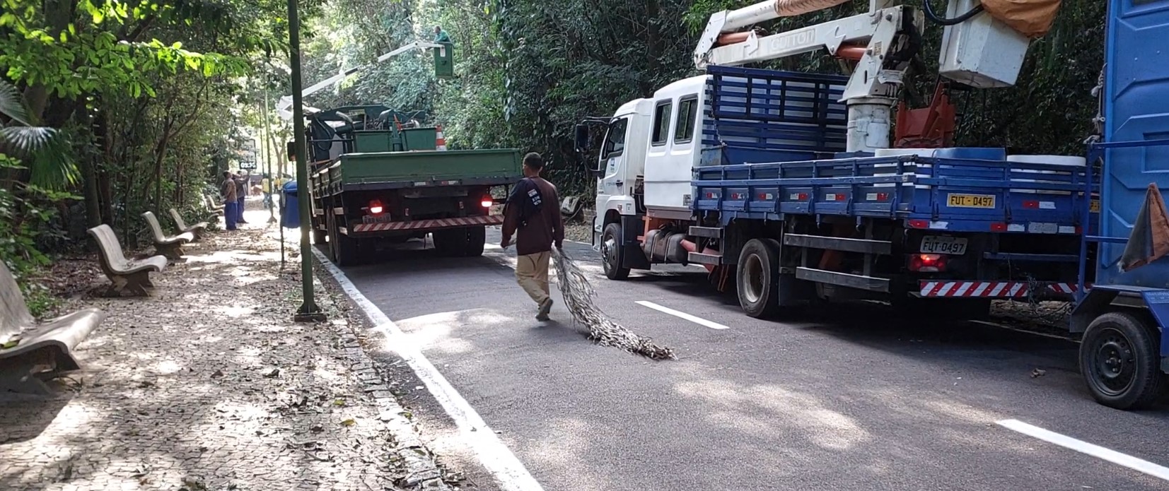 Galho cai em trabalhador dos Bosque do Jequitibás em Campinas