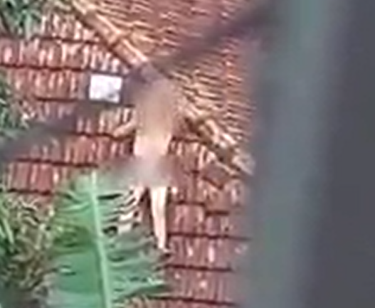 Homem é detido por ato libidinoso no telhado de casa, em Praia Grande