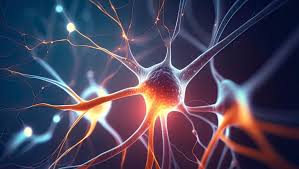 Problemas hormonais: como identificar? Como tratar?