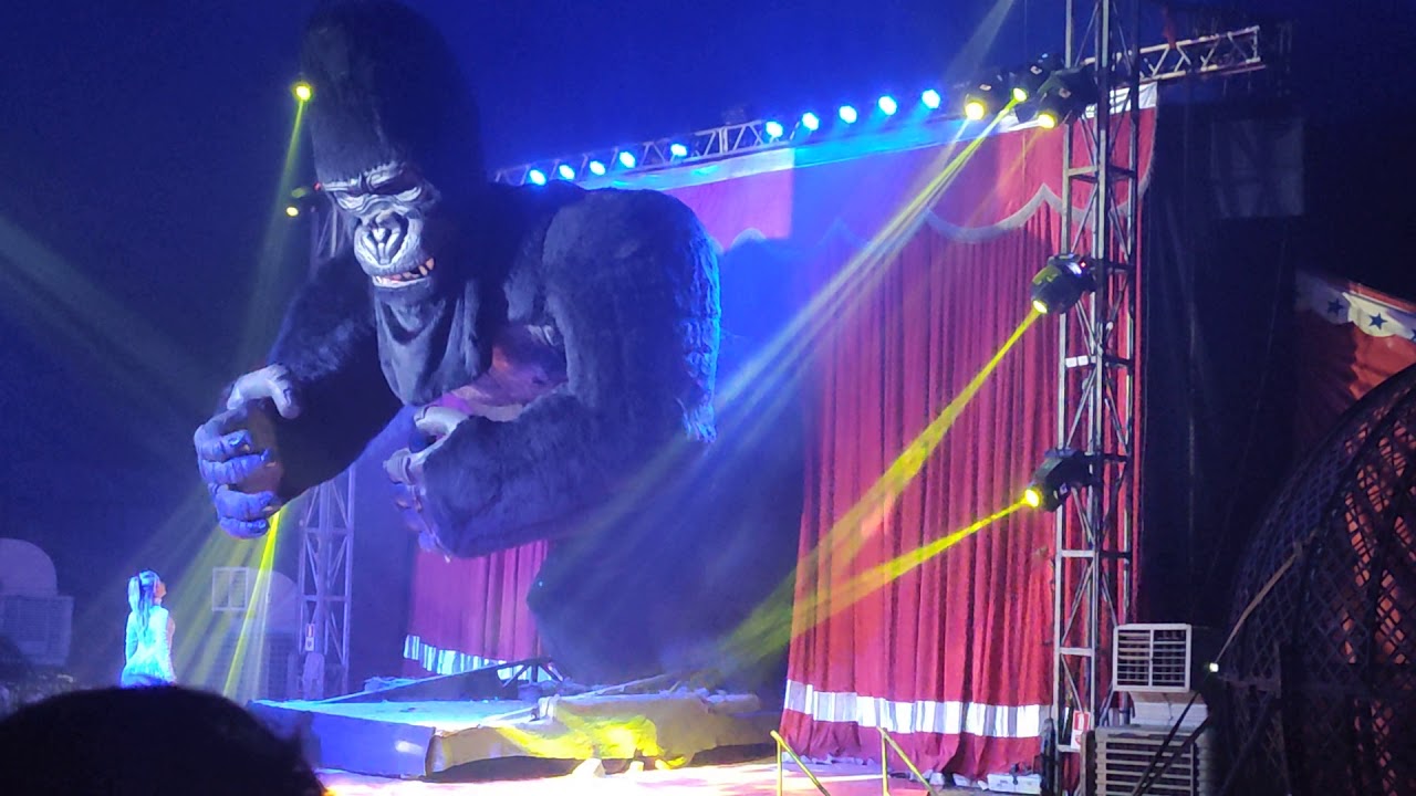 Circos Khronos e Stankowich abrem a temporada de férias em Campinas