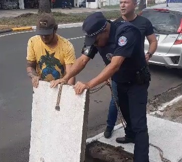 Guarda Municipal resgata cachorro de bueiro em Americana