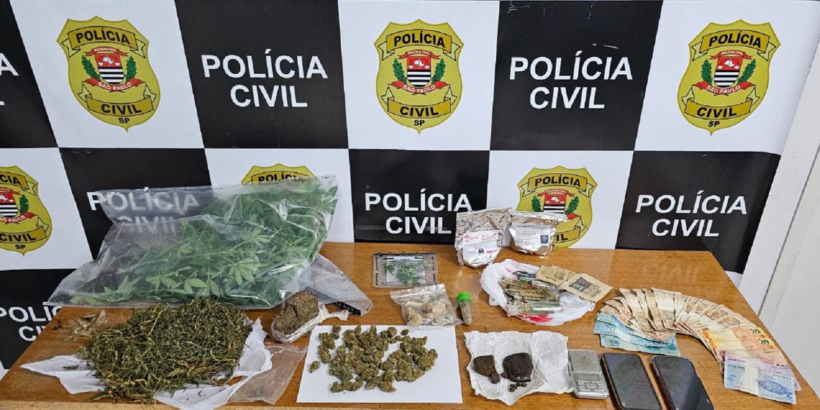 Larga escala: homem é preso cultivando maconha em estufa