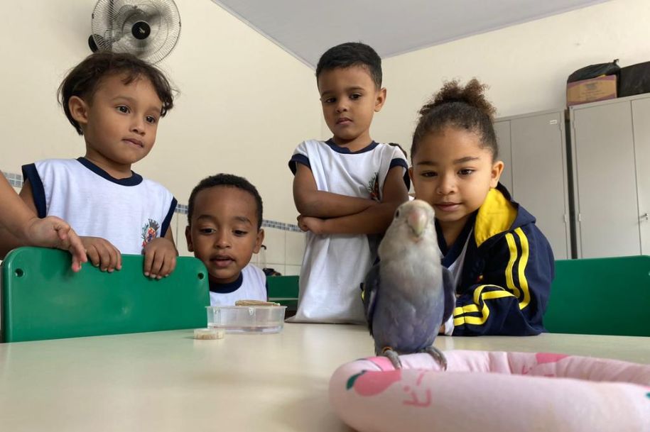 Projeto de São Vicente reforça a prevenção e os cuidados com os animais desde criança