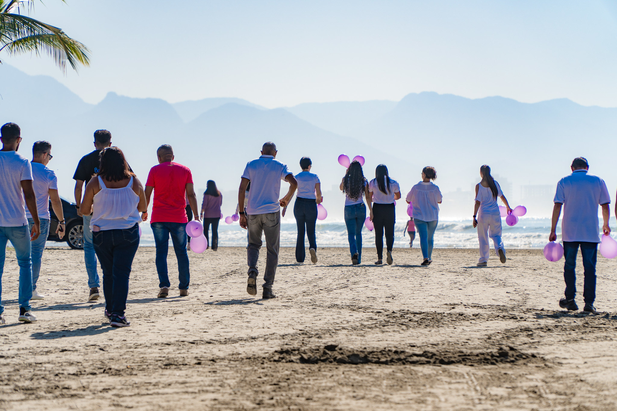 53100585025_a88905ea8b_k