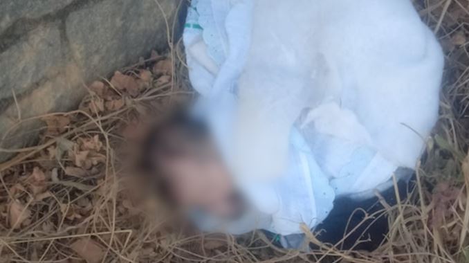 Adoção e abandono: casos na região revelam falhas no sistema