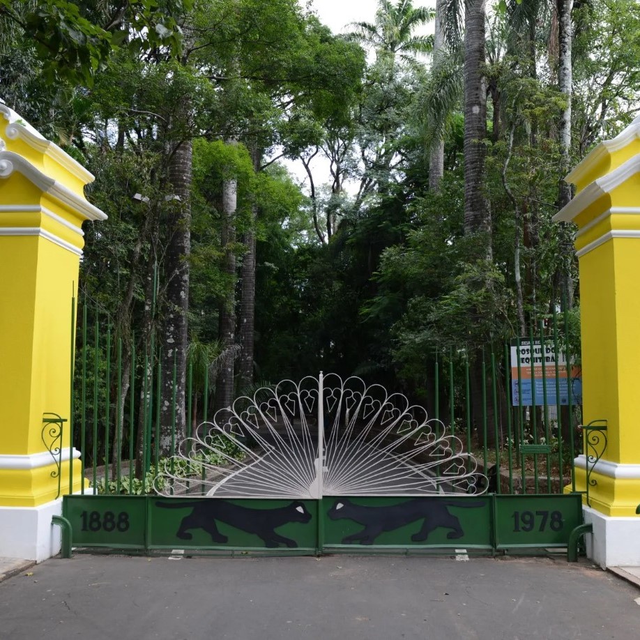 Bosque dos Jequitibás reabre após sete meses Bosque dos Jequitibás reabre após sete meses