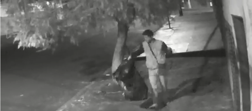 Vídeo flagra o momento em que homem arranca e furta lixeira do bairro Vila Virgínia, em RP