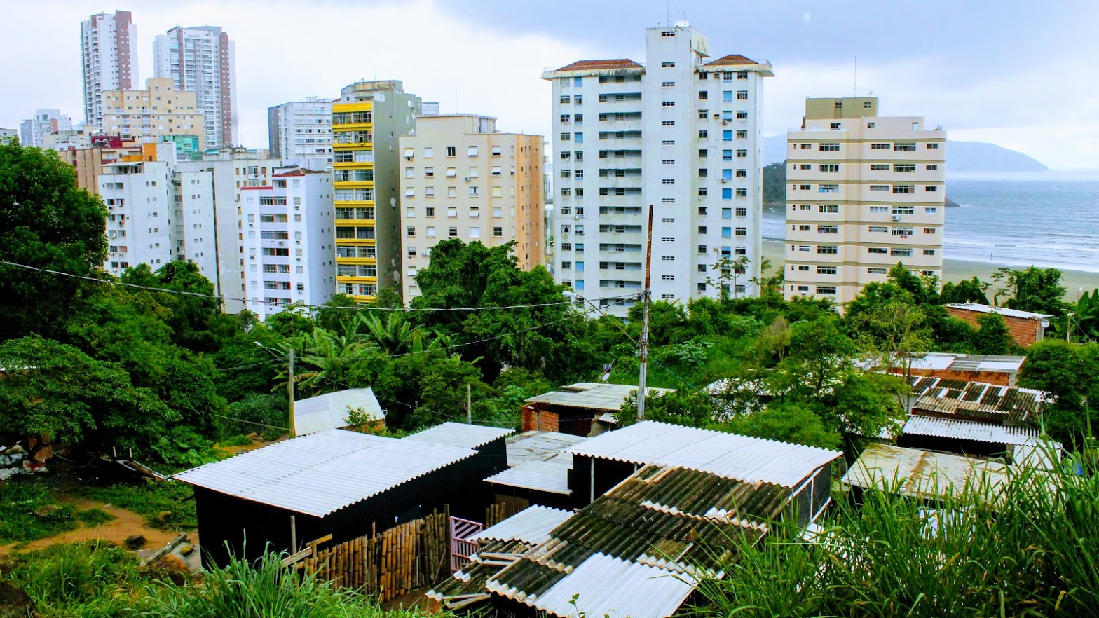 Cerca de 24 toneladas de lixo da encosta do morro de São Vicente são retirados