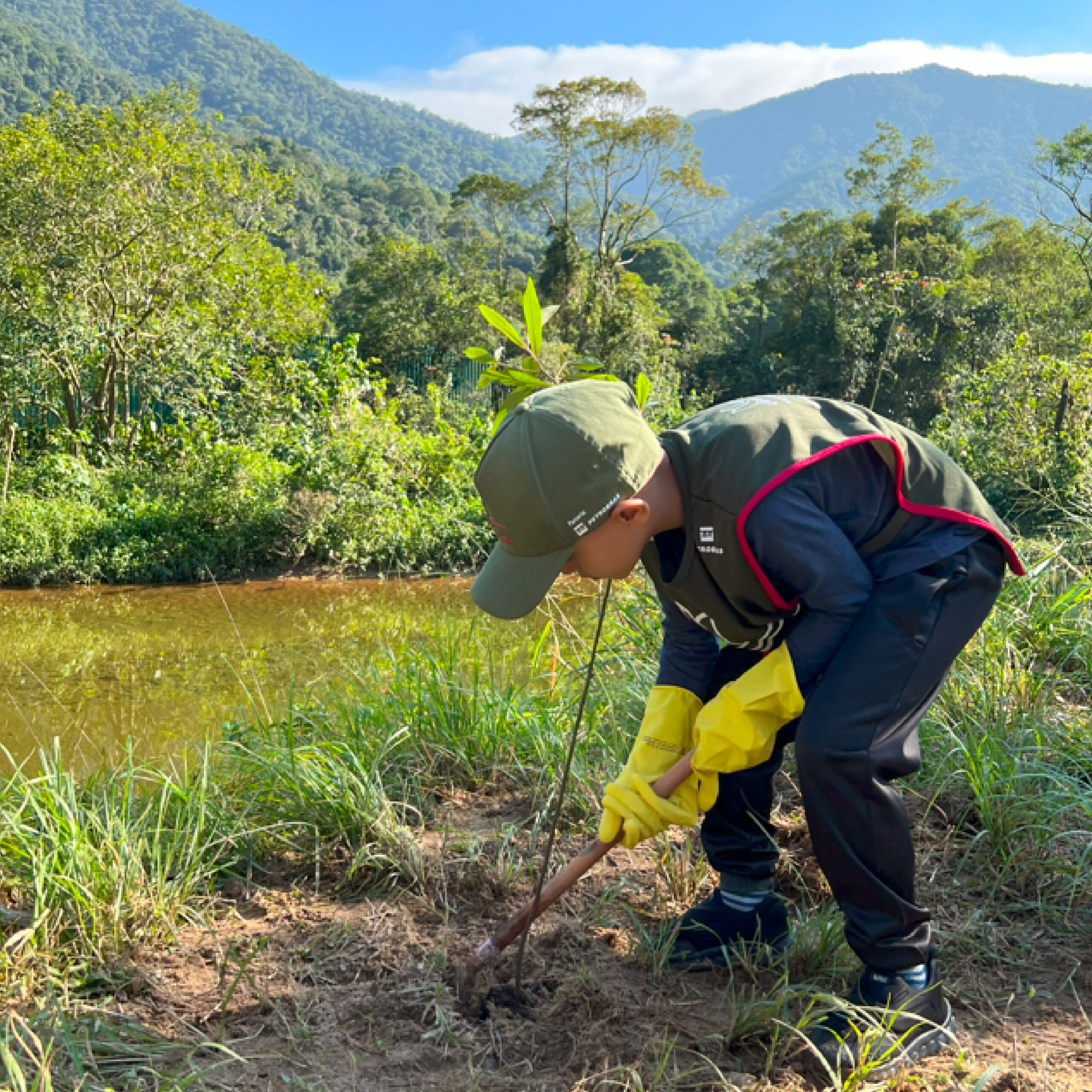Mais de cem mudas de árvores são plantadas em parques de Cubatão