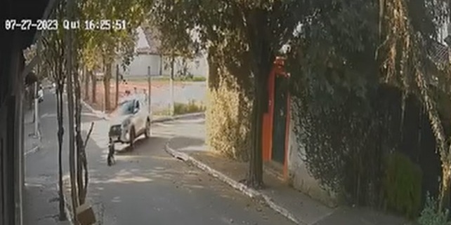 Motorista atropela cachorro e foge sem prestar socorro em Caçapava