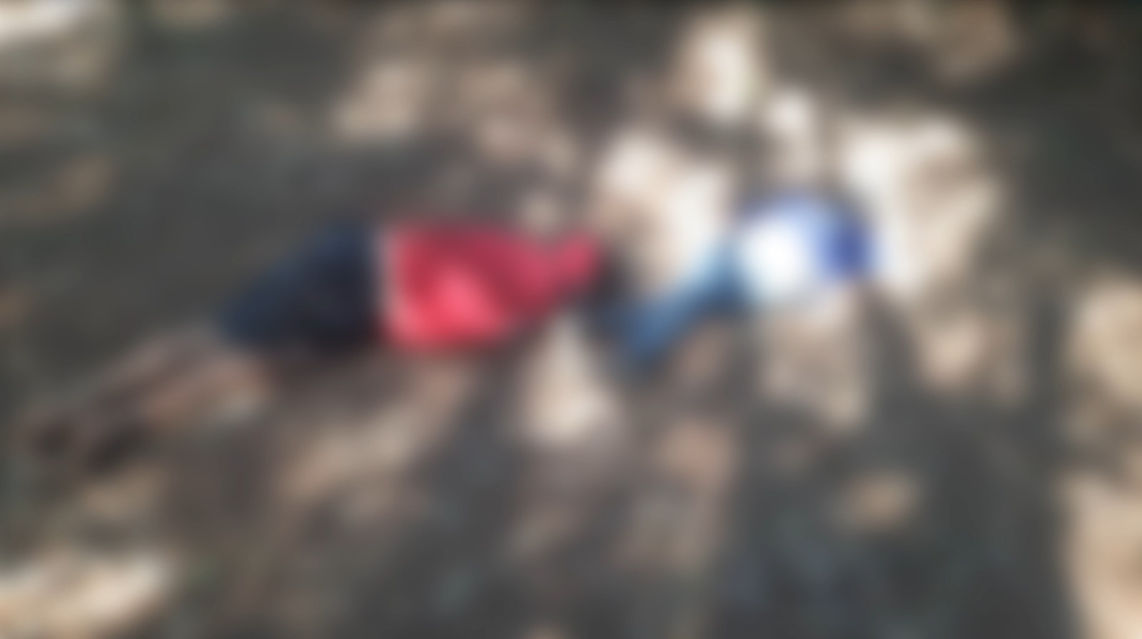 Mistério: corpos são encontrados em canavial de Cosmópolis