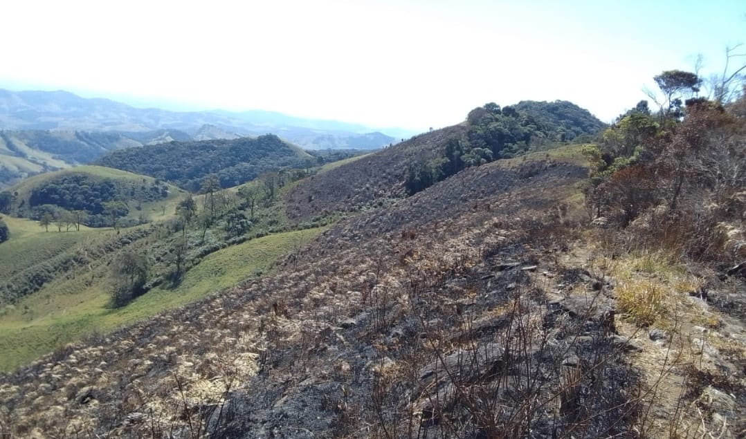 fazendeira fogo cunha