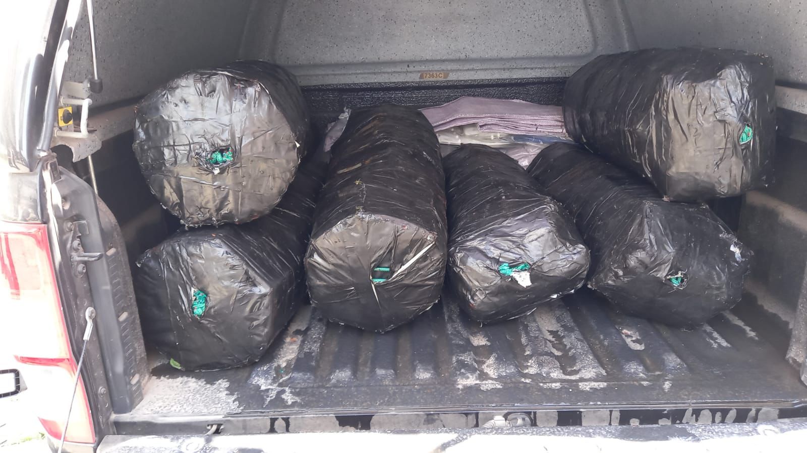 Ação conjunta da PF apreende mais de 200 kg de cocaína no Porto de Santos