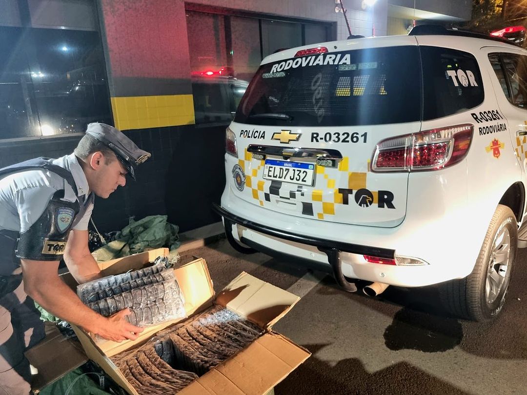 Mulher é presa com mercadorias contrabandeadas em Rio Claro