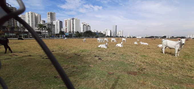 terreno das vaquinhas