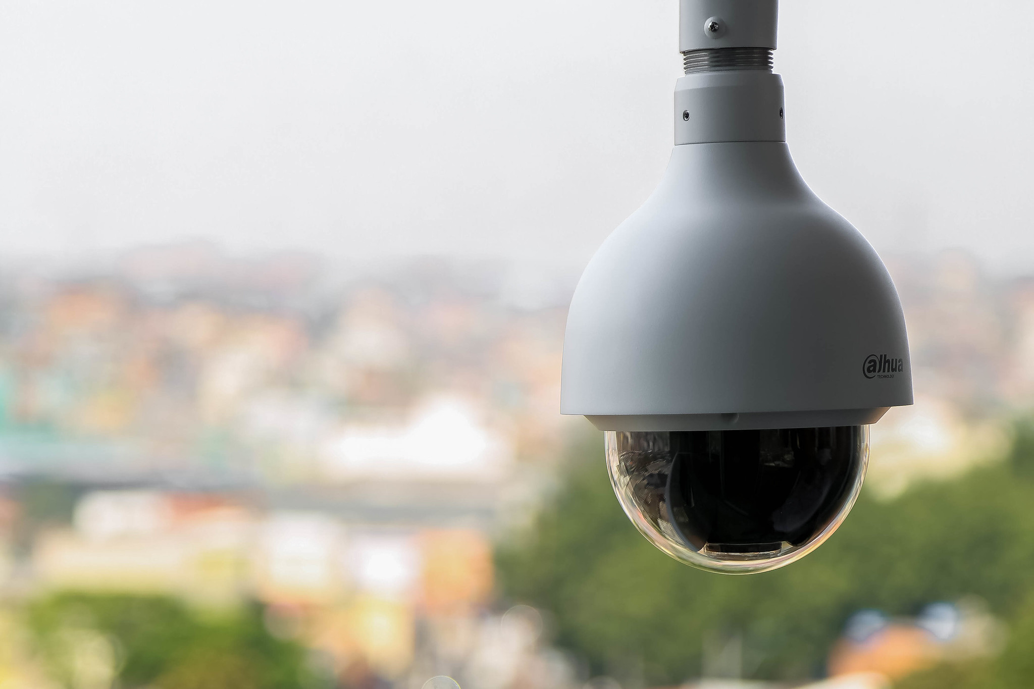 51397731753_1329685bf7_k