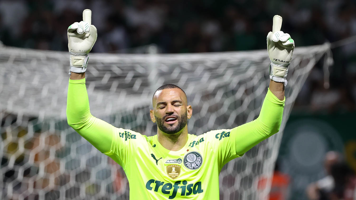 Goleiro do Palmeiras está prestes a se tornar piloto de avião