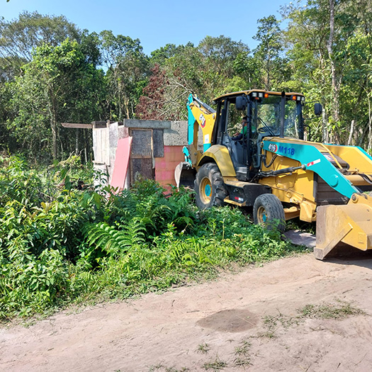 Área da Serra do Mar recebe operação conjunta de combate ao desmatamento e homem é preso