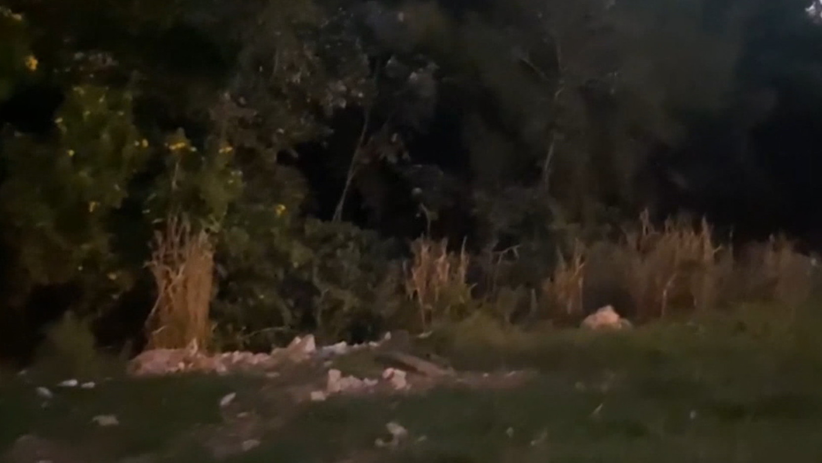 Homem é encontrado morto em horta de Campinas